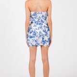 Print Power Mesh Ruffle Mini Dress