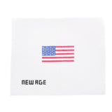 Mini American Flag Canvas