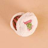 Holiday Stocking Teddy Pouch